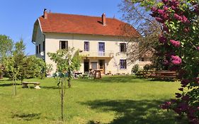 Goute la vie